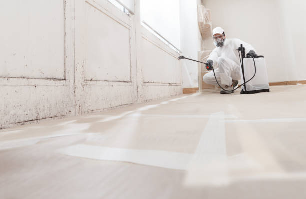 24/7 Emergency Mold Remediation experts in Spencerville, MD