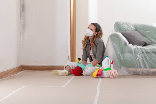 Reliable Mold Remediation contractor in Spencerville, MD by 24 Hour Mold Removal